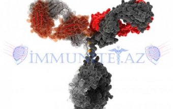 Dövredən immun komplekslər