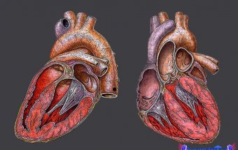 Restriktiv kardiomiopatiya