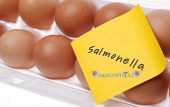 Salmonella xəstəlikləri