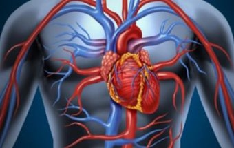 Hipertrofik kardiomiopatiya