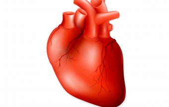 Koronar arteriyaların aterosklerozu