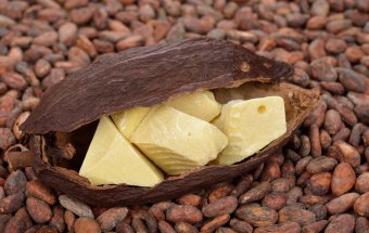 Kakao yağının faydaları